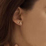 Puces d'oreilles Alma petites