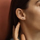 Puces d'oreilles Alma